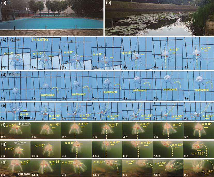 swimming_pool_R1_IJRR (4)